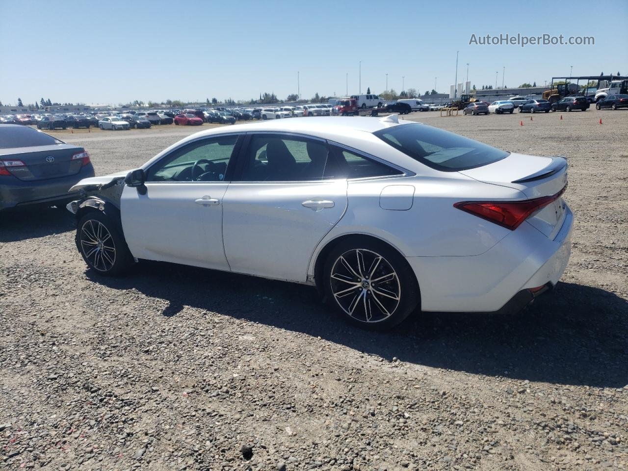 2019 Toyota Avalon Xle Белый vin: 4T1BZ1FB6KU033590