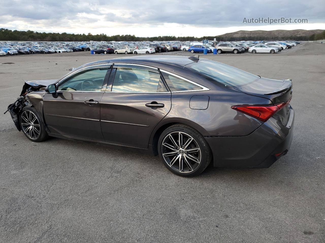 2019 Toyota Avalon Xle Brown vin: 4T1BZ1FB7KU014983