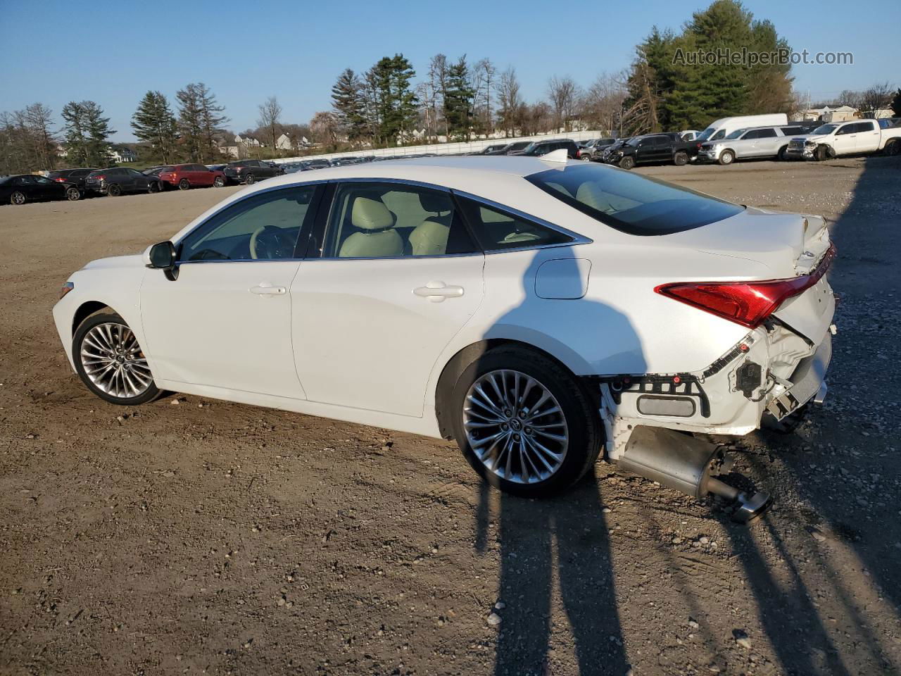 2019 Toyota Avalon Xle White vin: 4T1BZ1FB7KU030682