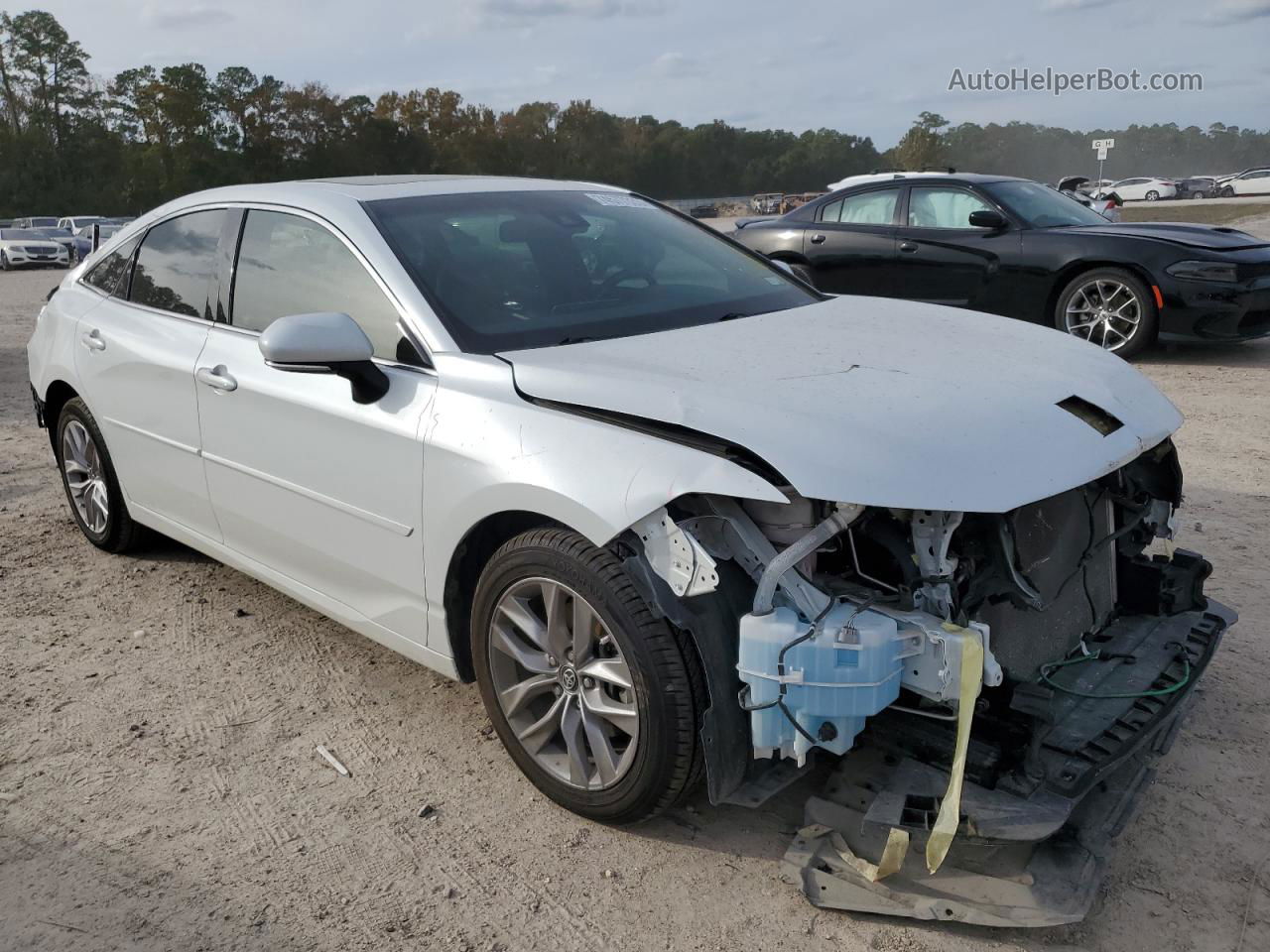 2019 Toyota Avalon Xle White vin: 4T1BZ1FB8KU002714