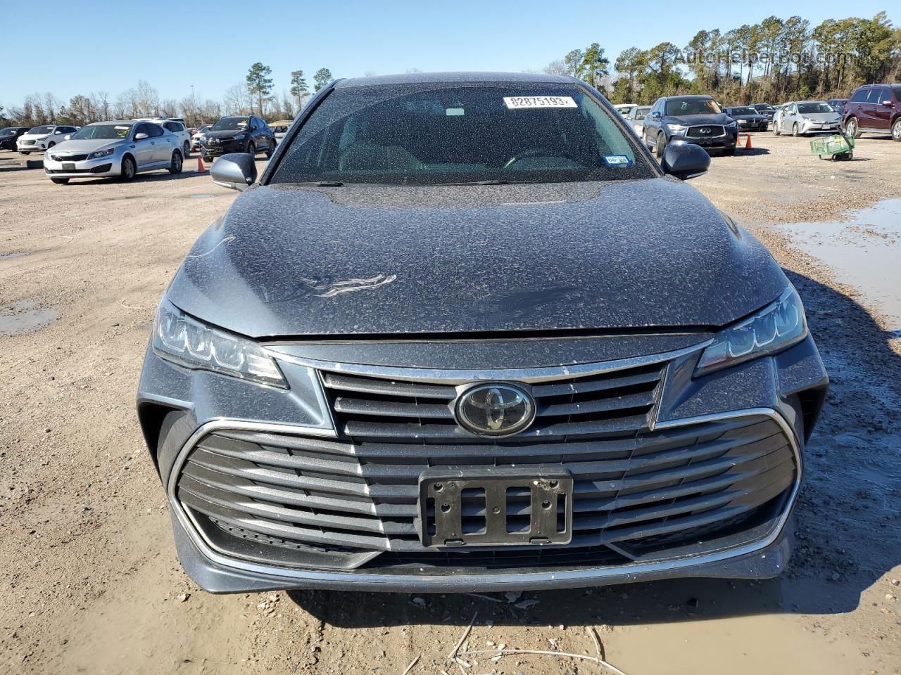 2019 Toyota Avalon Xle Gray vin: 4T1BZ1FB8KU036023