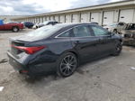 2019 Toyota Avalon Xle Black vin: 4T1BZ1FB9KU016587