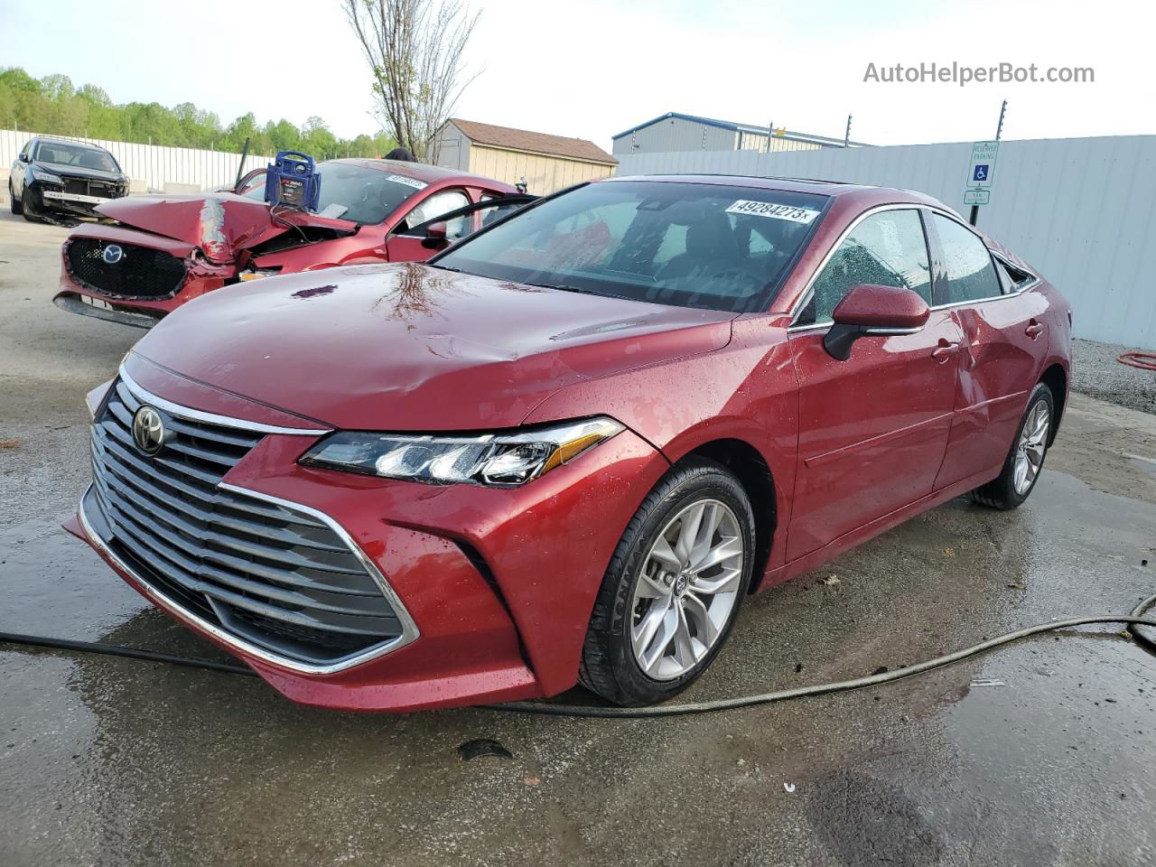 2019 Toyota Avalon Xle Burgundy vin: 4T1BZ1FBXKU004061