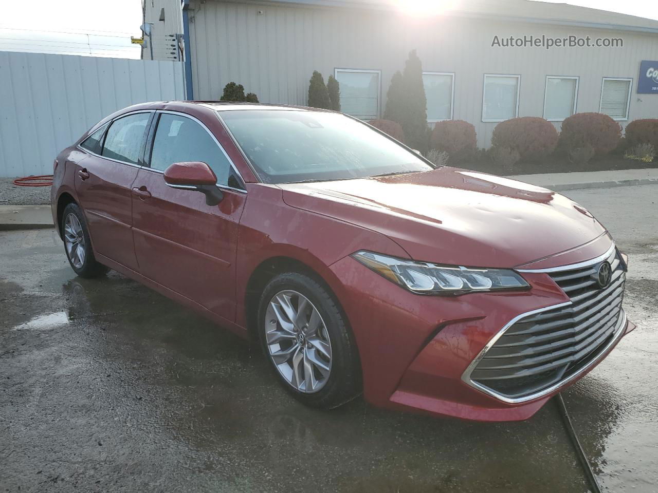 2019 Toyota Avalon Xle Burgundy vin: 4T1BZ1FBXKU004061