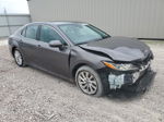 2021 Toyota Camry Le Серый vin: 4T1C11AK4MU559318