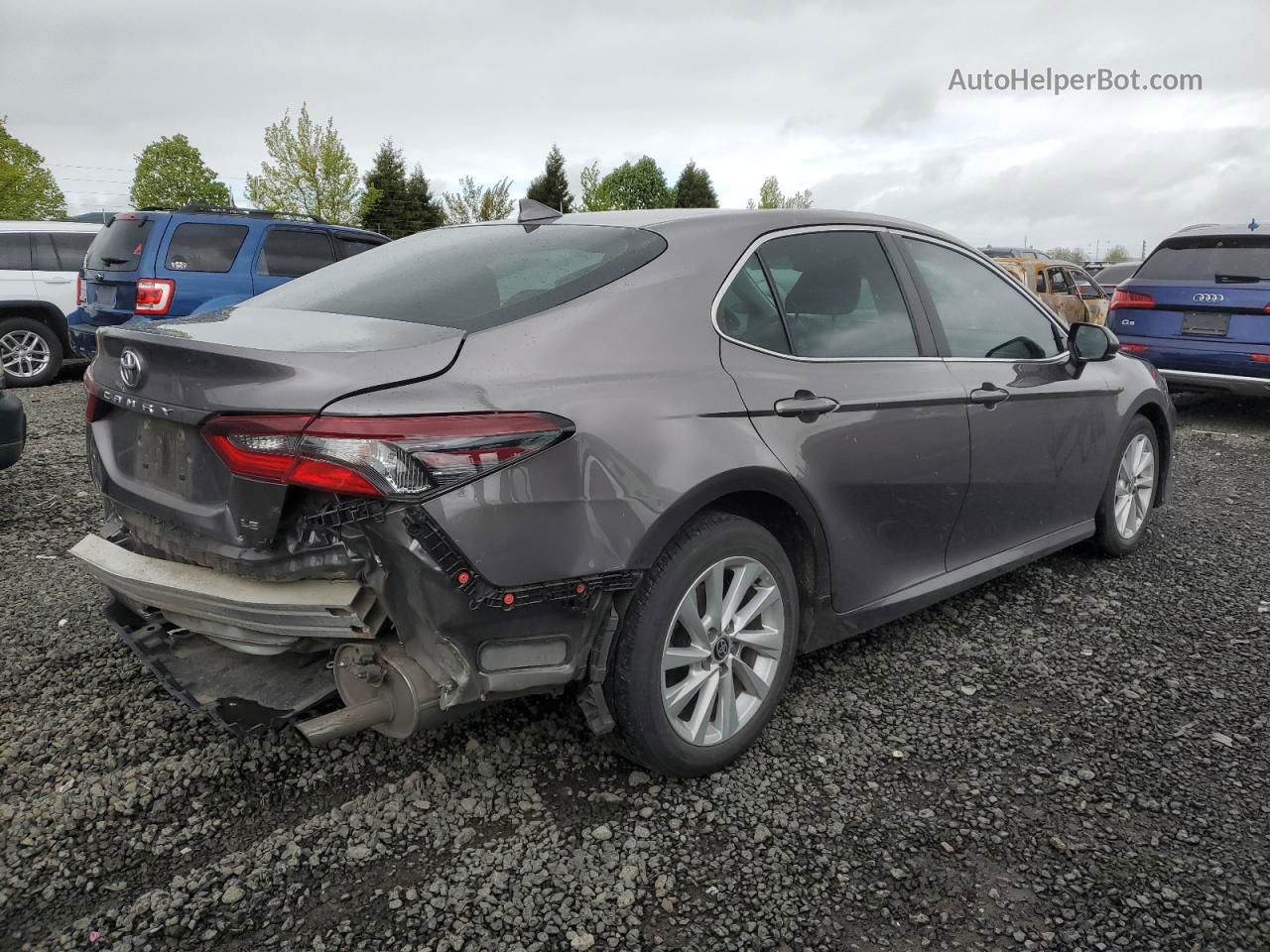 2021 Toyota Camry Le Серый vin: 4T1C11AK6MU452013