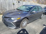 2021 Toyota Camry Le vin: 4T1C31AK1MU021119