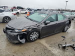 2021 Toyota Camry Le Угольный vin: 4T1C31AK1MU027860