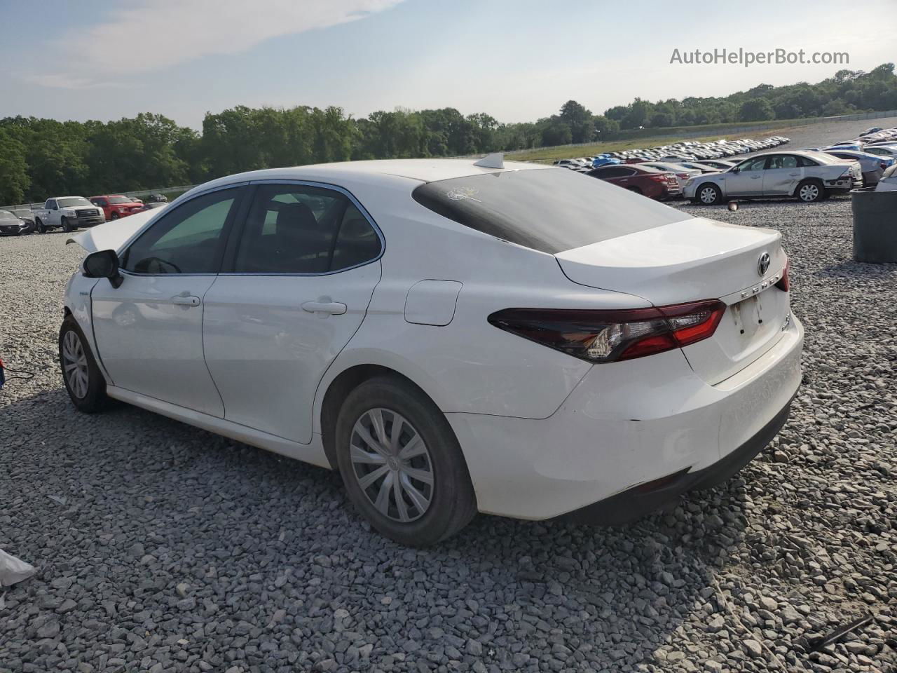 2021 Toyota Camry Le Белый vin: 4T1C31AK5MU031734