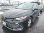 2021 Toyota Camry Le vin: 4T1C31AK5MU551299