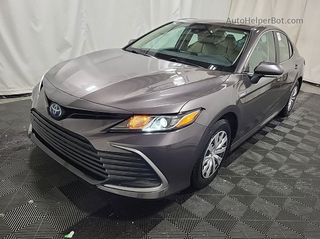 2021 Toyota Camry Le vin: 4T1C31AK7MU023408