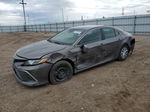 2021 Toyota Camry Le Gray vin: 4T1C31AK7MU551093