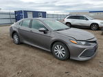 2021 Toyota Camry Le Gray vin: 4T1C31AK7MU551093