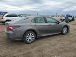 2021 Toyota Camry Le Gray vin: 4T1C31AK7MU551093