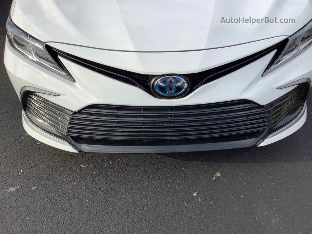 2021 Toyota Camry Le vin: 4T1C31AK9MU551595