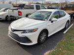 2021 Toyota Camry Le vin: 4T1C31AK9MU551595