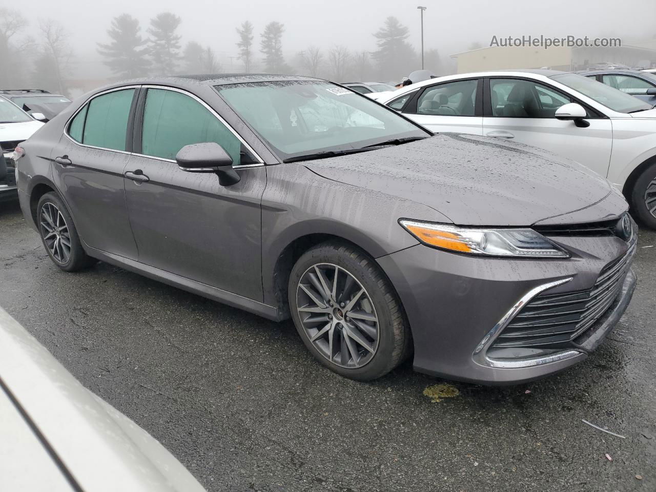 2021 Toyota Camry Xle Gray vin: 4T1F11BK8MU040123