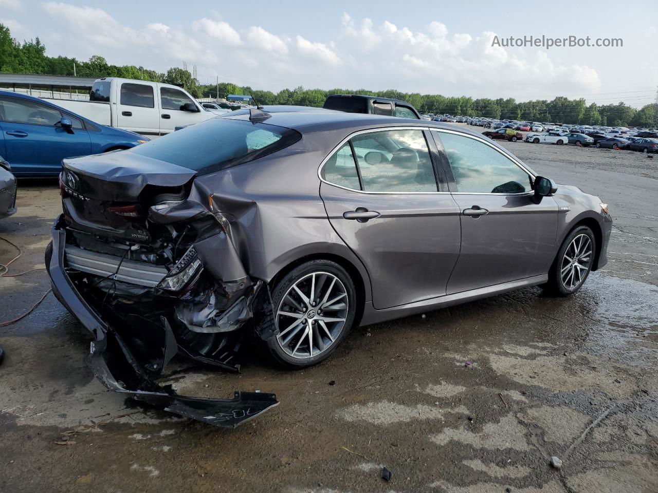 2021 Toyota Camry Xle Gray vin: 4T1F31AK7MU561930