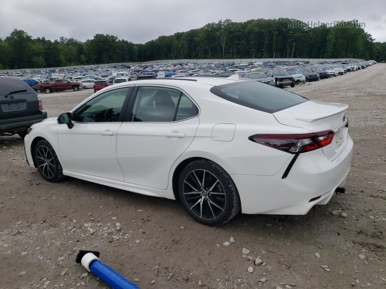 2021 Toyota Camry Se White vin: 4T1G11AK1MU404761