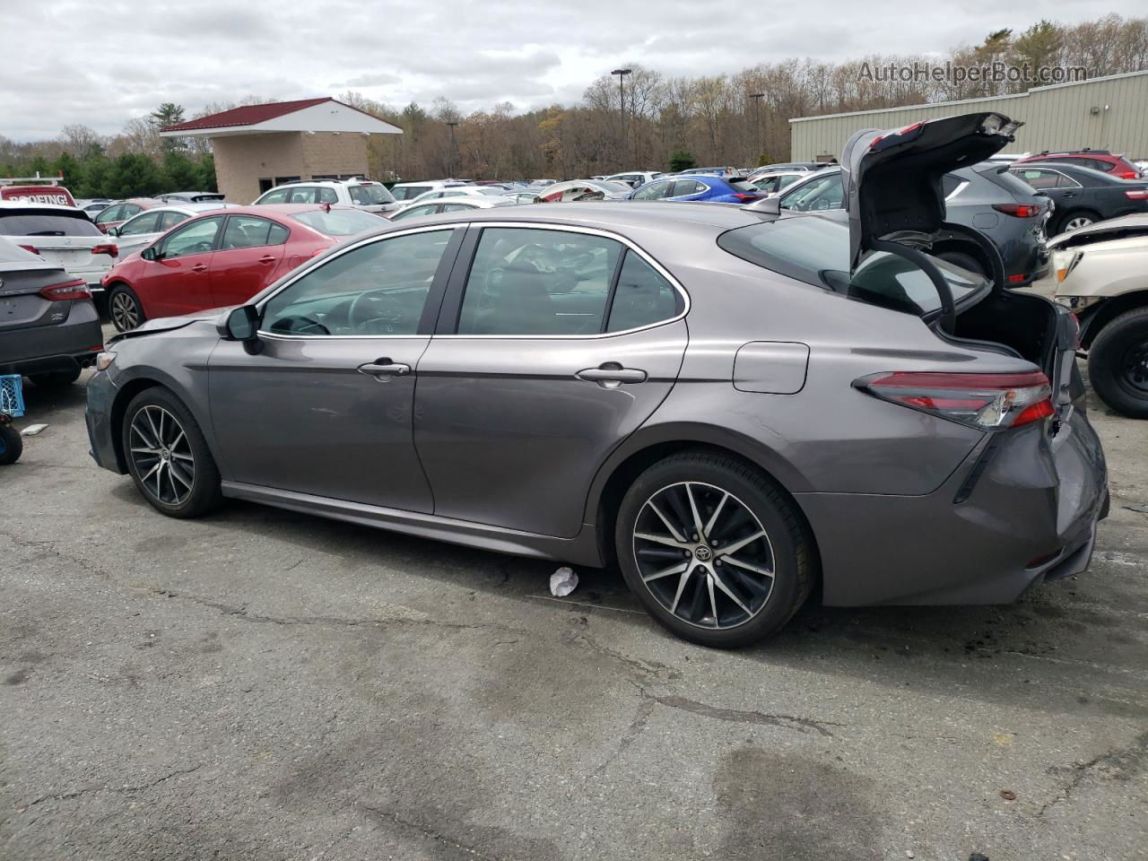 2021 Toyota Camry Se Gray vin: 4T1G11BK3MU042916