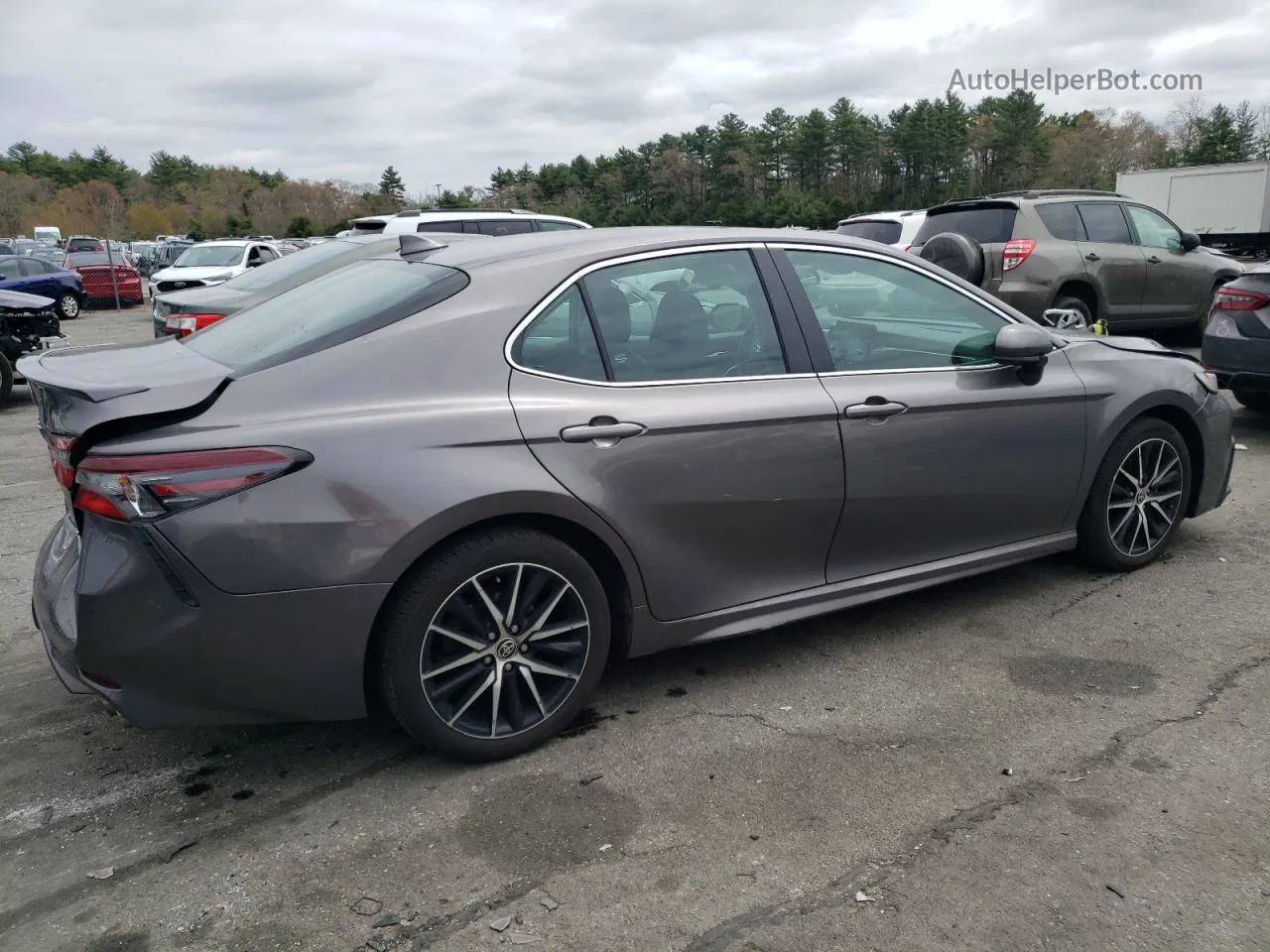 2021 Toyota Camry Se Gray vin: 4T1G11BK3MU042916