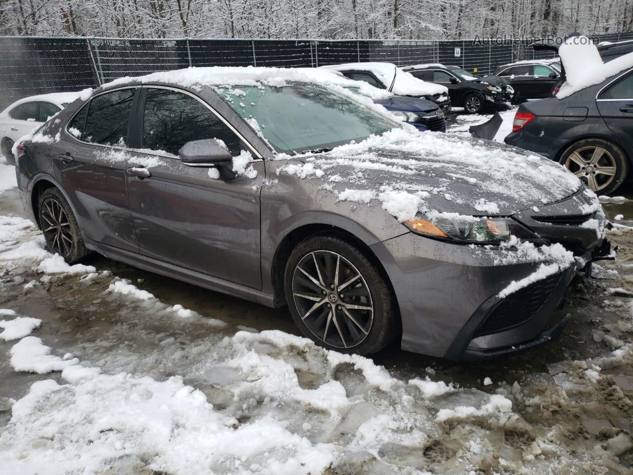 2021 Toyota Camry Se Gray vin: 4T1G11BK6MU030808