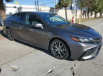 2021 Toyota Camry Se Charcoal vin: 4T1S31AK4MU555016