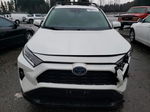 2021 Toyota Rav4 Xle Premium White vin: 4T3B6RFV5MU010104