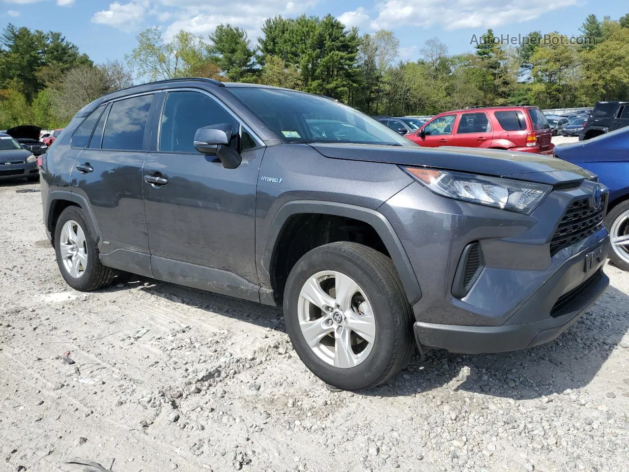 2021 Toyota Rav4 Le Серый vin: 4T3MWRFV3MU046446