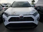 2021 Toyota Rav4 Xle White vin: 4T3RWRFV2MU013265