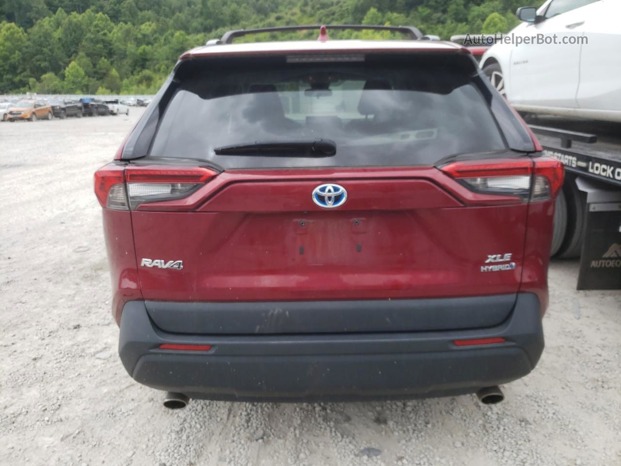 2021 Toyota Rav4 Xle Maroon vin: 4T3RWRFV3MU019477