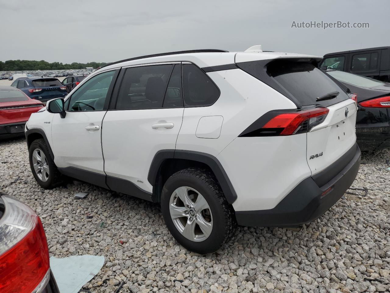 2021 Toyota Rav4 Xle White vin: 4T3RWRFV5MU013017