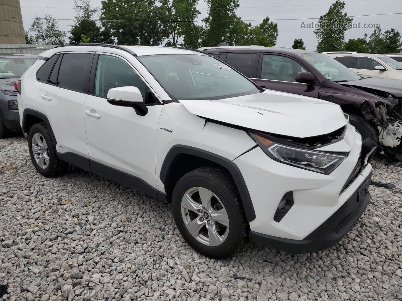 2021 Toyota Rav4 Xle White vin: 4T3RWRFV5MU013017