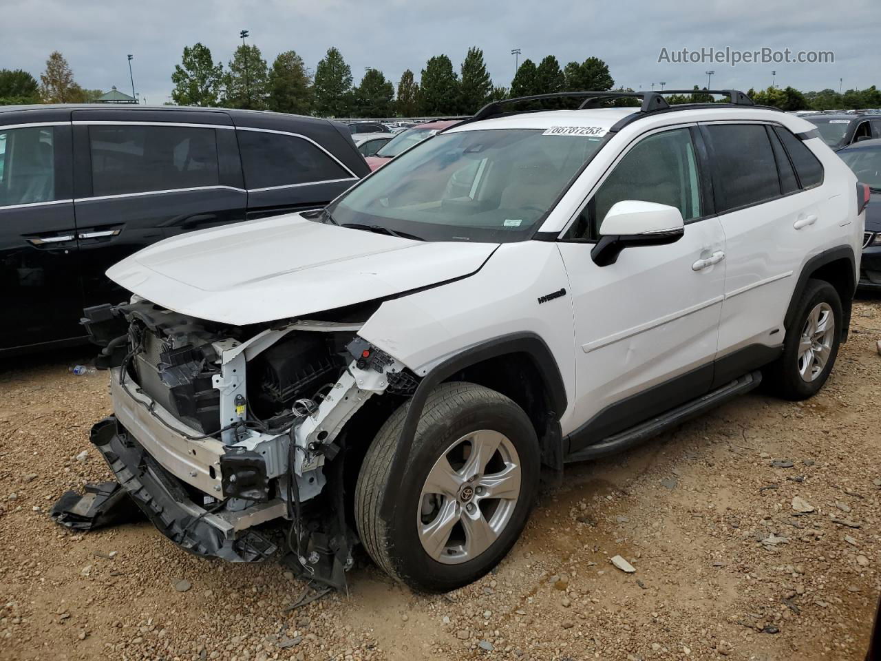 2021 Toyota Rav4 Xle White vin: 4T3RWRFV9MU029091