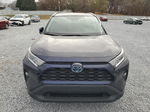 2021 Toyota Rav4 Xle Blue vin: 4T3RWRFVXMU016124