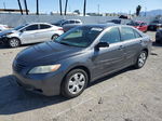 2009 Toyota Camry Base Серый vin: 4T4BE46K09R129096