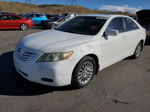 2009 Toyota Camry Base White vin: 4T4BE46K29R057270