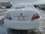 2009 Toyota Camry Base Белый vin: 4T4BE46K39R114060