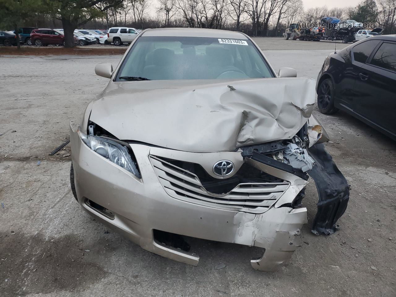 2009 Toyota Camry Base Желто-коричневый vin: 4T4BE46K59R049017