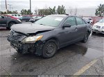 2009 Toyota Camry Le Gray vin: 4T4BE46K59R074645