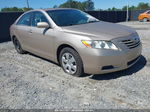 2009 Toyota Camry Le Gold vin: 4T4BE46K89R118072