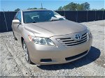 2009 Toyota Camry Le Gold vin: 4T4BE46K89R118072
