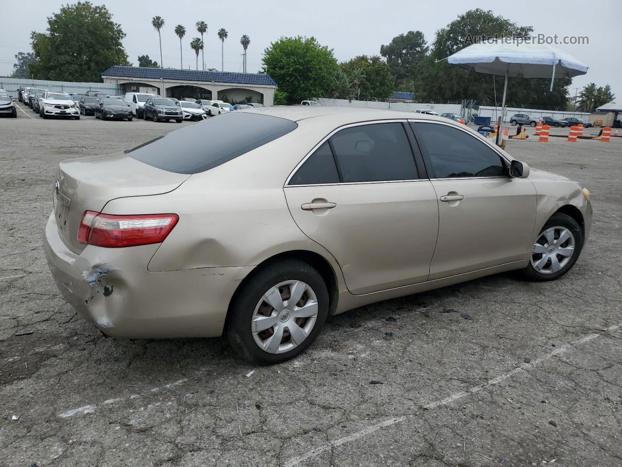 2009 Toyota Camry Base Gold vin: 4T4BE46KX9R055587