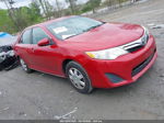 2013 Toyota Camry Le Red vin: 4T4BF1FK1DR281747