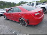 2013 Toyota Camry Le Red vin: 4T4BF1FK1DR281747