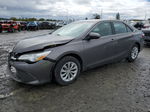 2016 Toyota Camry Le Gray vin: 4T4BF1FK6GR567291