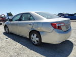 2014 Toyota Camry L Золотой vin: 4T4BF1FKXER439360