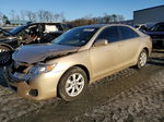 2011 Toyota Camry Base Gold vin: 4T4BF3EK1BR118493