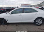 2011 Toyota Camry Le Белый vin: 4T4BF3EK4BR197514