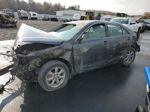 2011 Toyota Camry Base Серый vin: 4T4BF3EK6BR168144